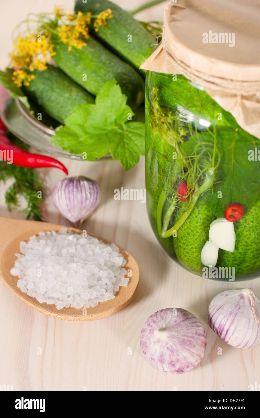 Preparing preserves of pickled cucumbers Stock Photo Alamy