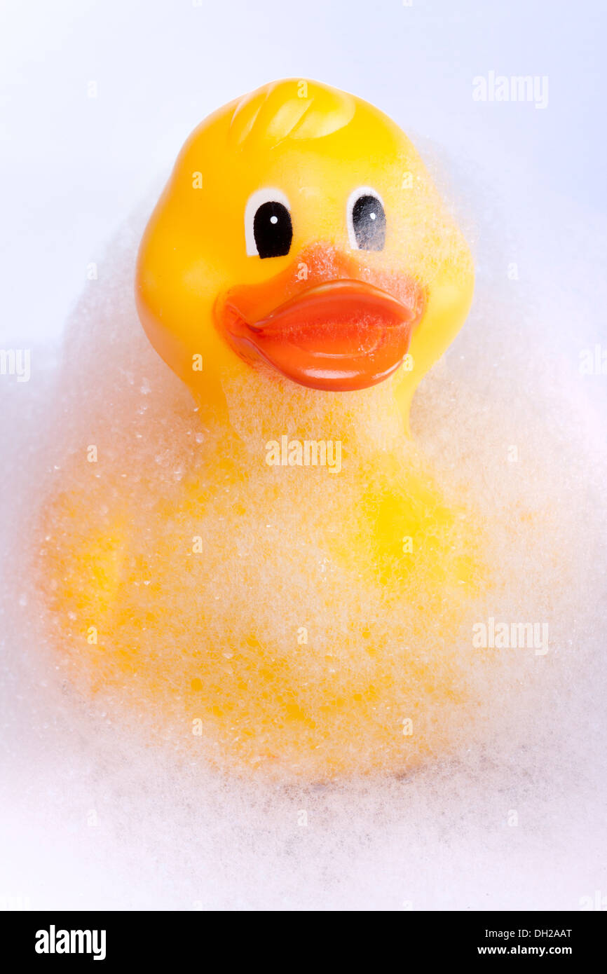 Yellow rubber duck Stock Photo