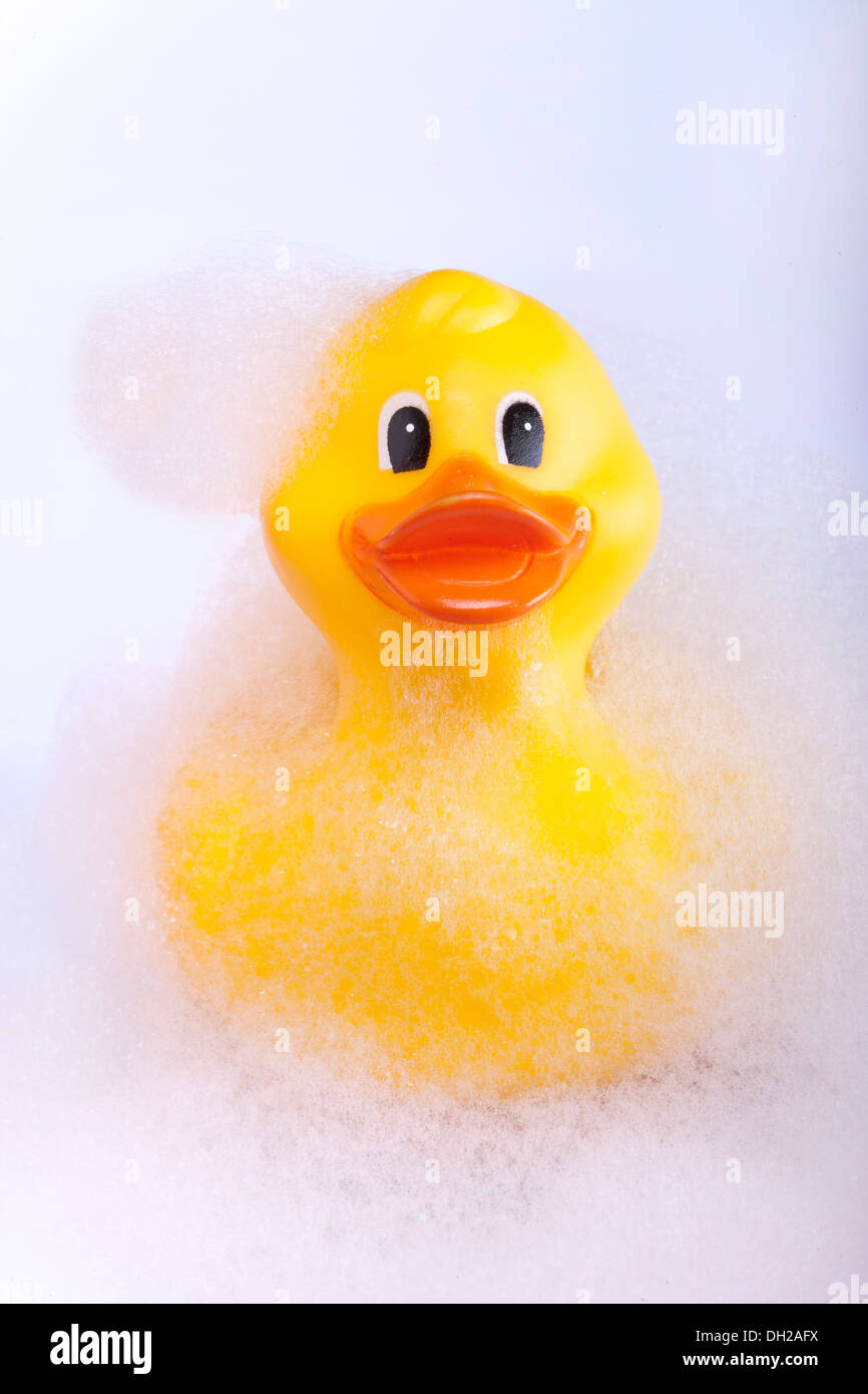 Yellow rubber duck Stock Photo