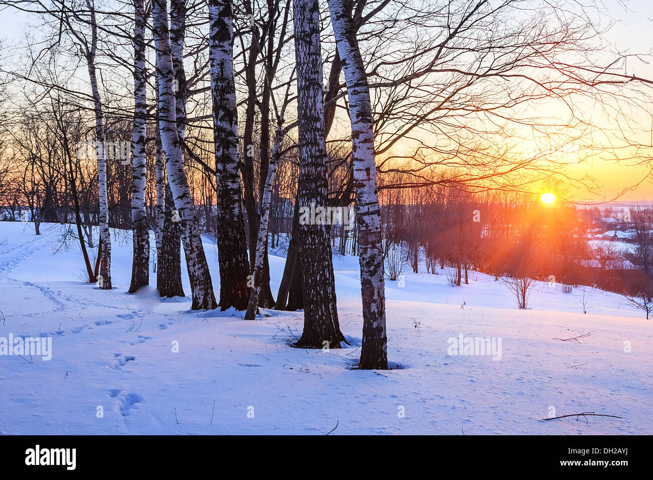 Winter park at sunset Stock Photo