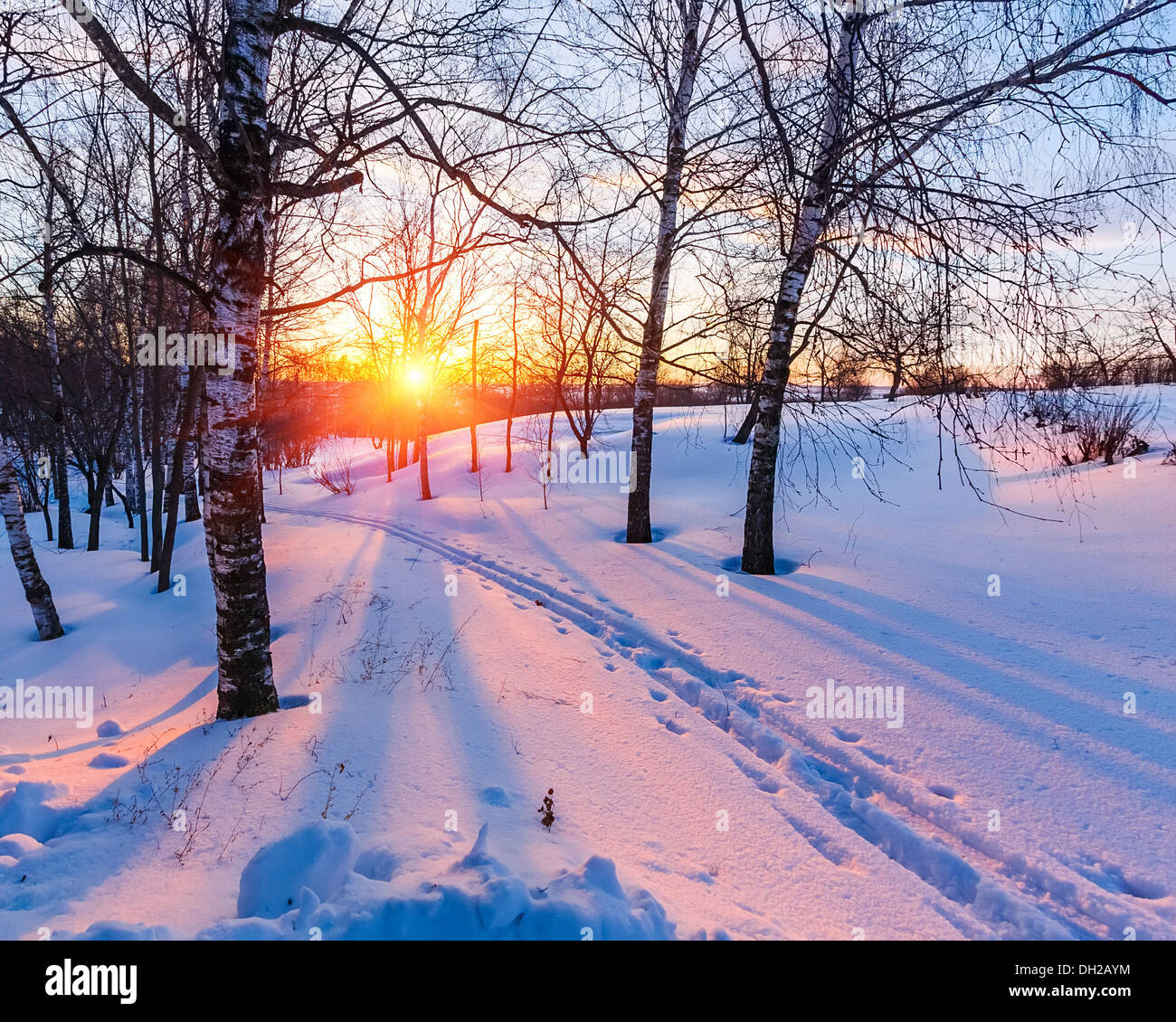 Winter sunset Stock Photo