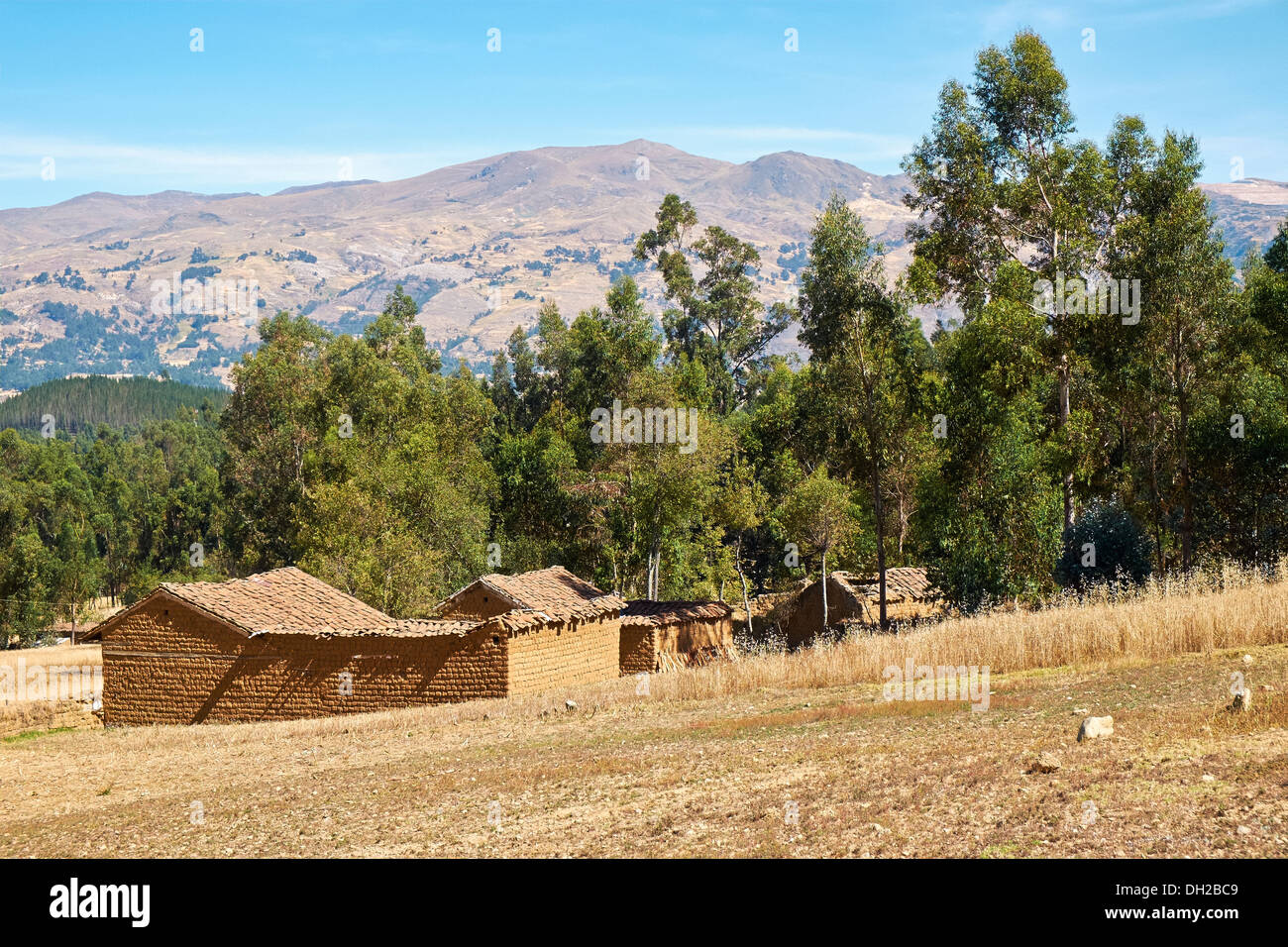 Rural settlement in the Peruvian Andes, South America Stock Photo Alamy