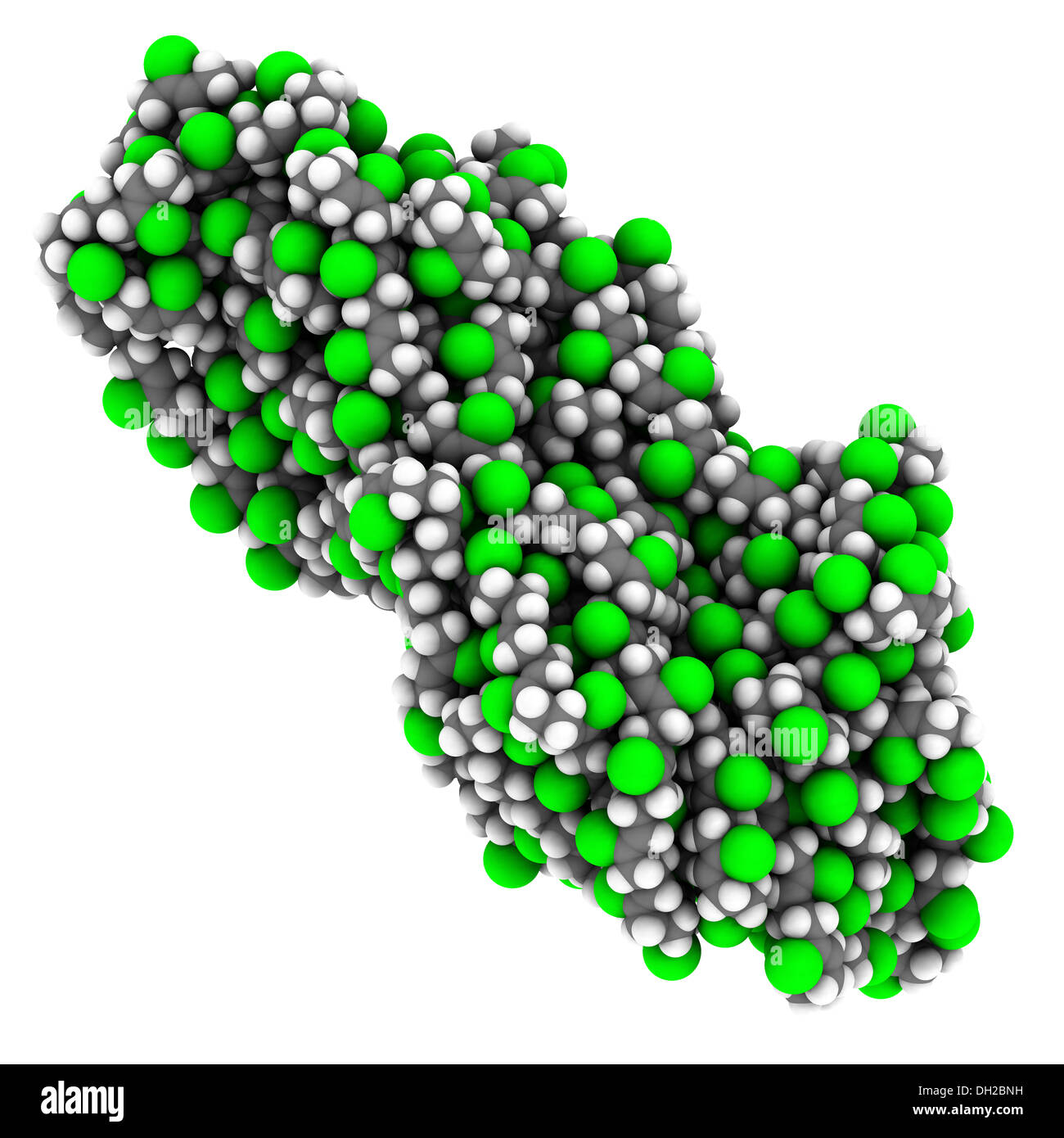 Ongeautoriseerd gat Tenen Neoprene (polychloroprene) synthetic rubber, chemical structure. Atoms are  represented as spheres with conventional color coding Stock Photo - Alamy