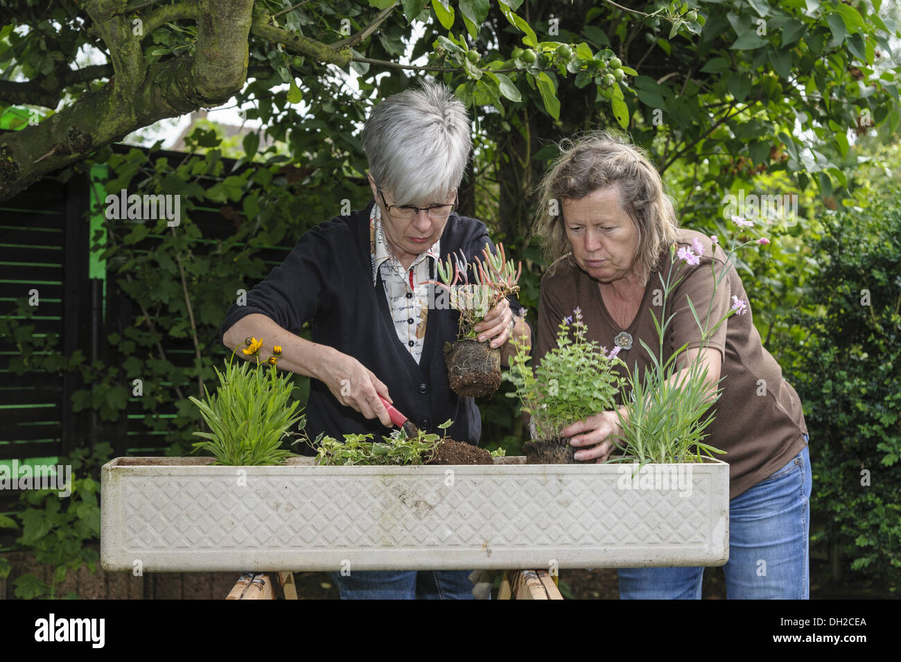 Gardeners in planting a flower box Stock Photo