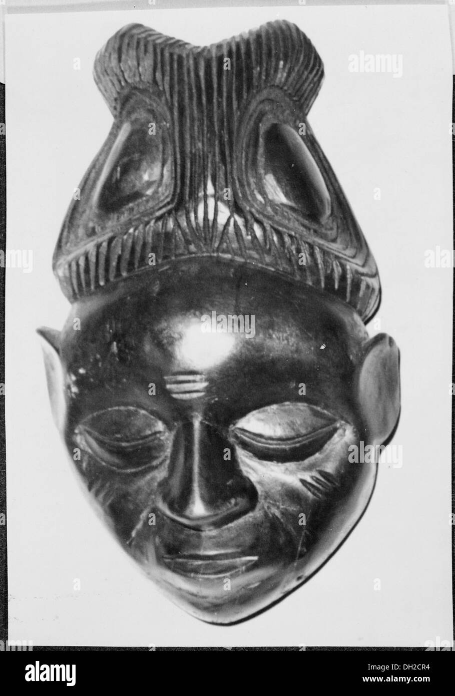 實篤　柘榴図　共箱　MA895 Free Tribal Mask Art Image | Download at StockCake