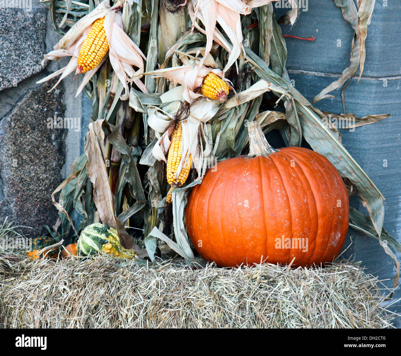 Pumpkin and corn stalks on a bale of hay against a stone wall. Stock Photo