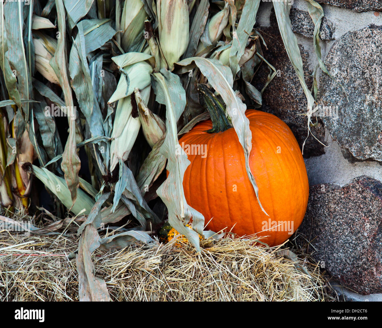 Pumpkin and corn stalks on a bale of hay against a stone wall. Stock Photo