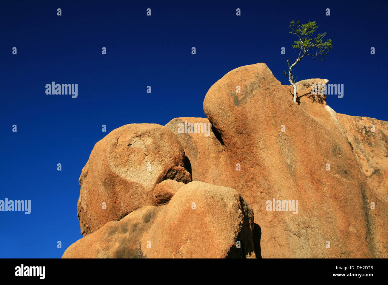 A Tree on top of a rock outcrop Stock Photo