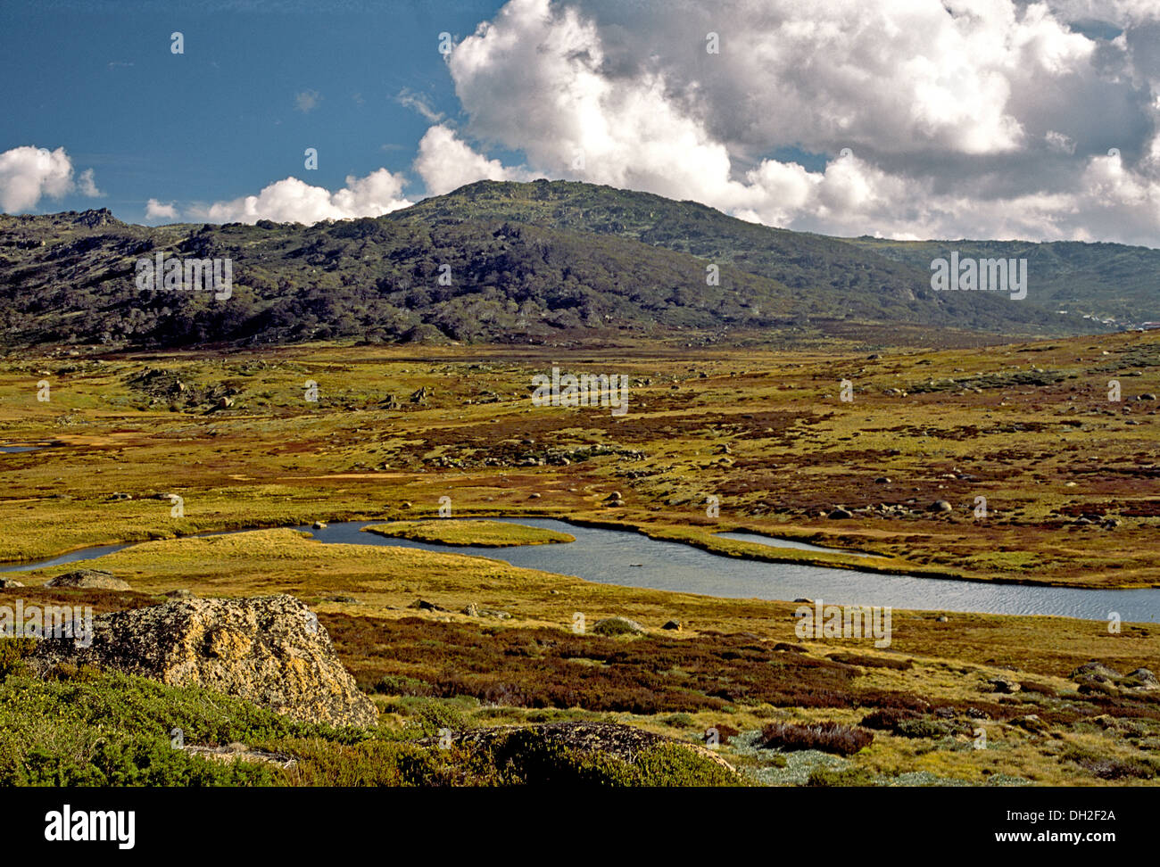 Spencer's Creek, Snowy Mountains, Australia Stock Photo - Alamy