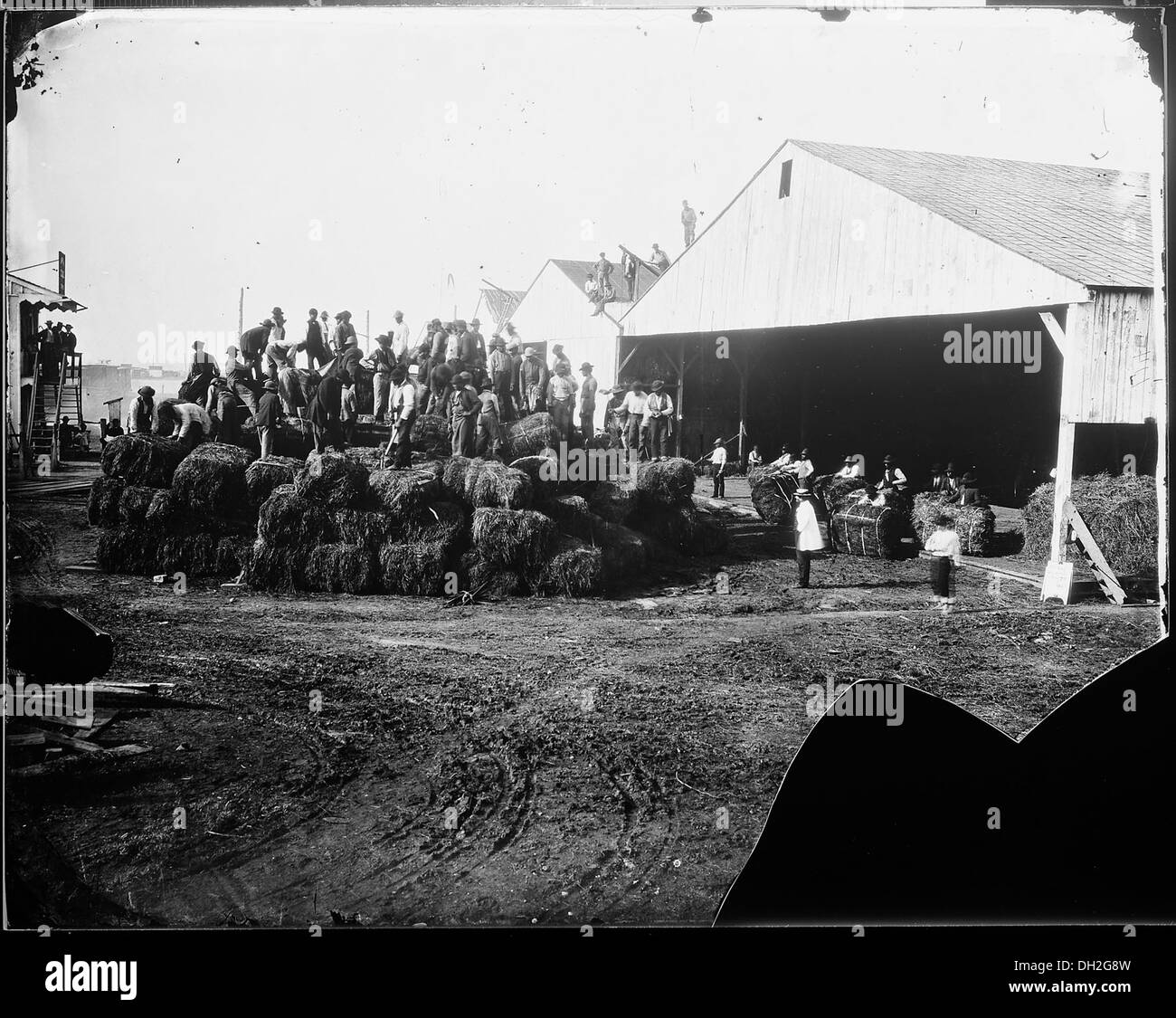 Headquarters. Haypile of the Department. Army of the Potomac, Va. 528921 Stock Photo