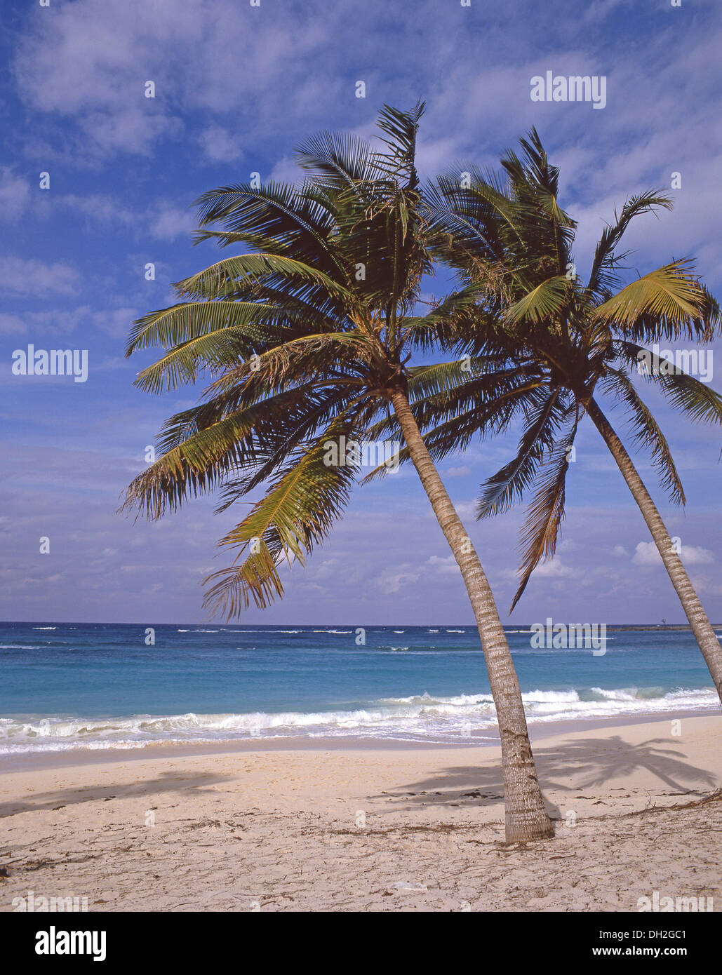 Cable Beach, Paradise Island, Nassau, New Providence, Bahamas Stock