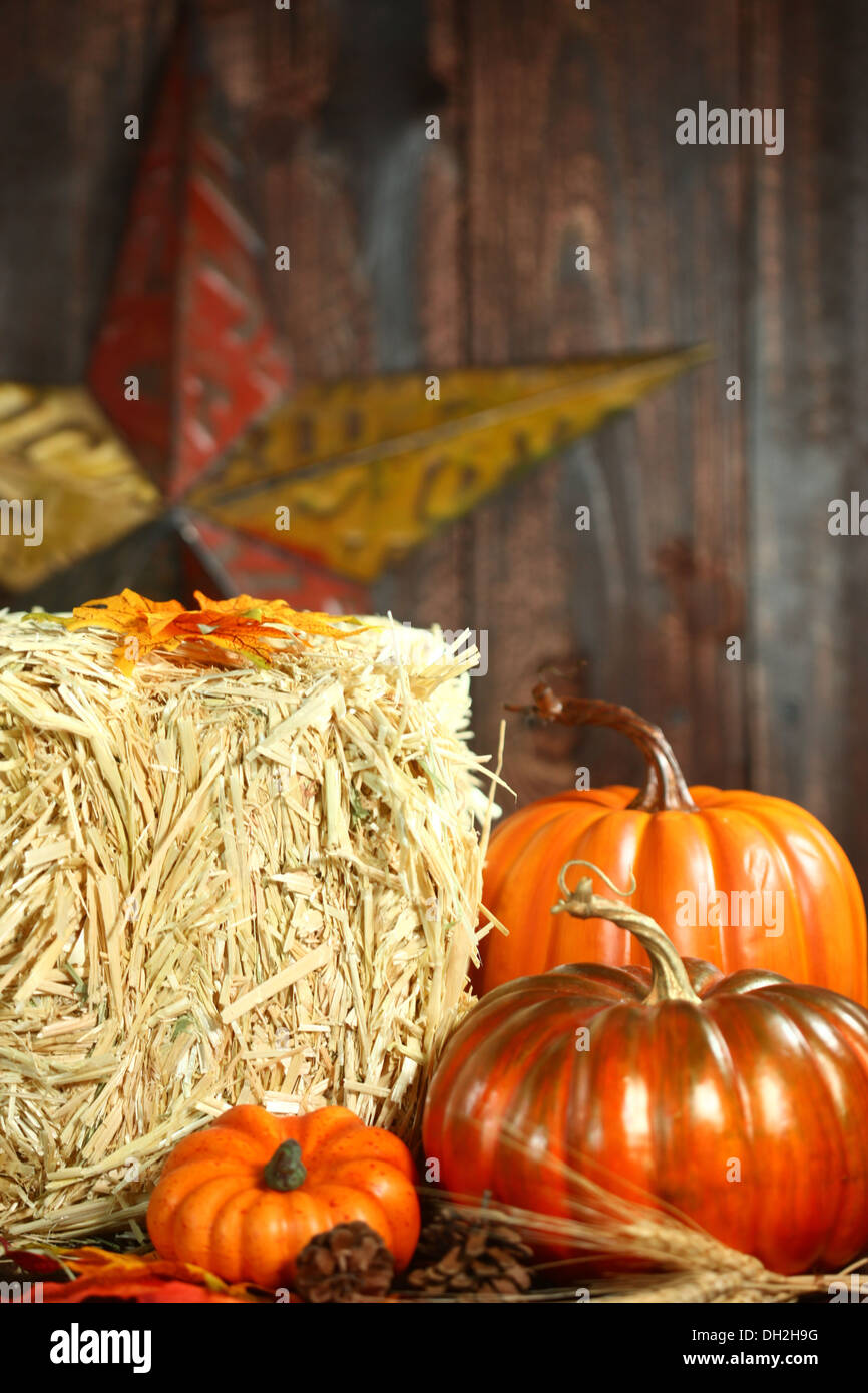 Fall themed hi-res stock photography and images - Alamy