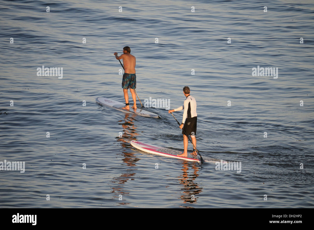 Stand-Up Paddleboarders Near Shoreline Park Stock Photo