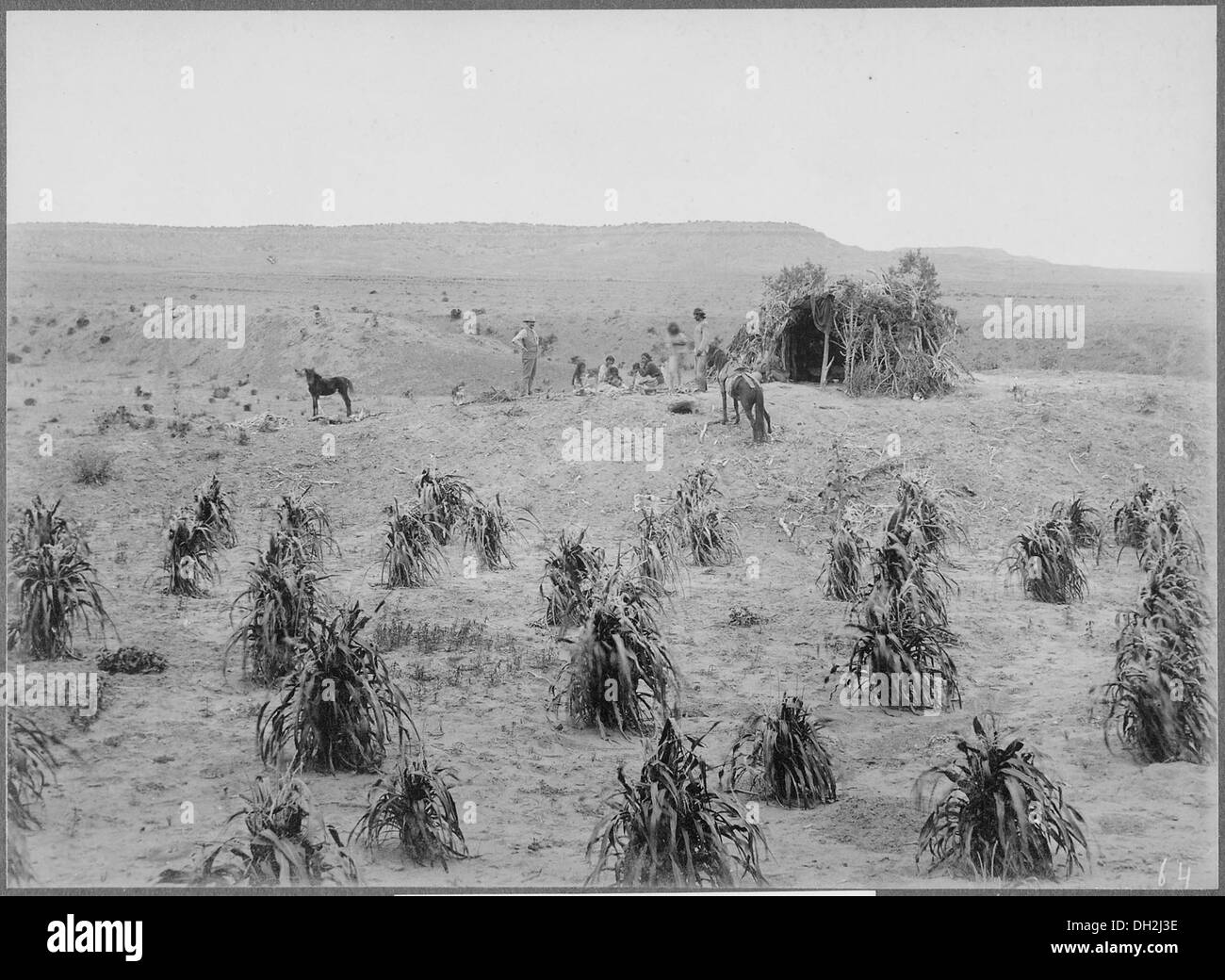 Native american navajo hogan Black and White Stock Photos & Images - Alamy