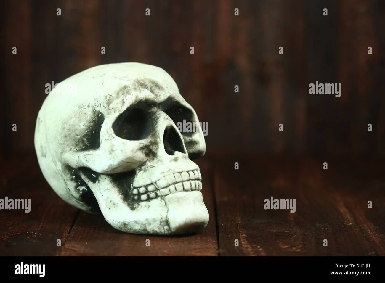 Spooky Halloween Skull on Wood Grunge Rustick Background Stock Photo