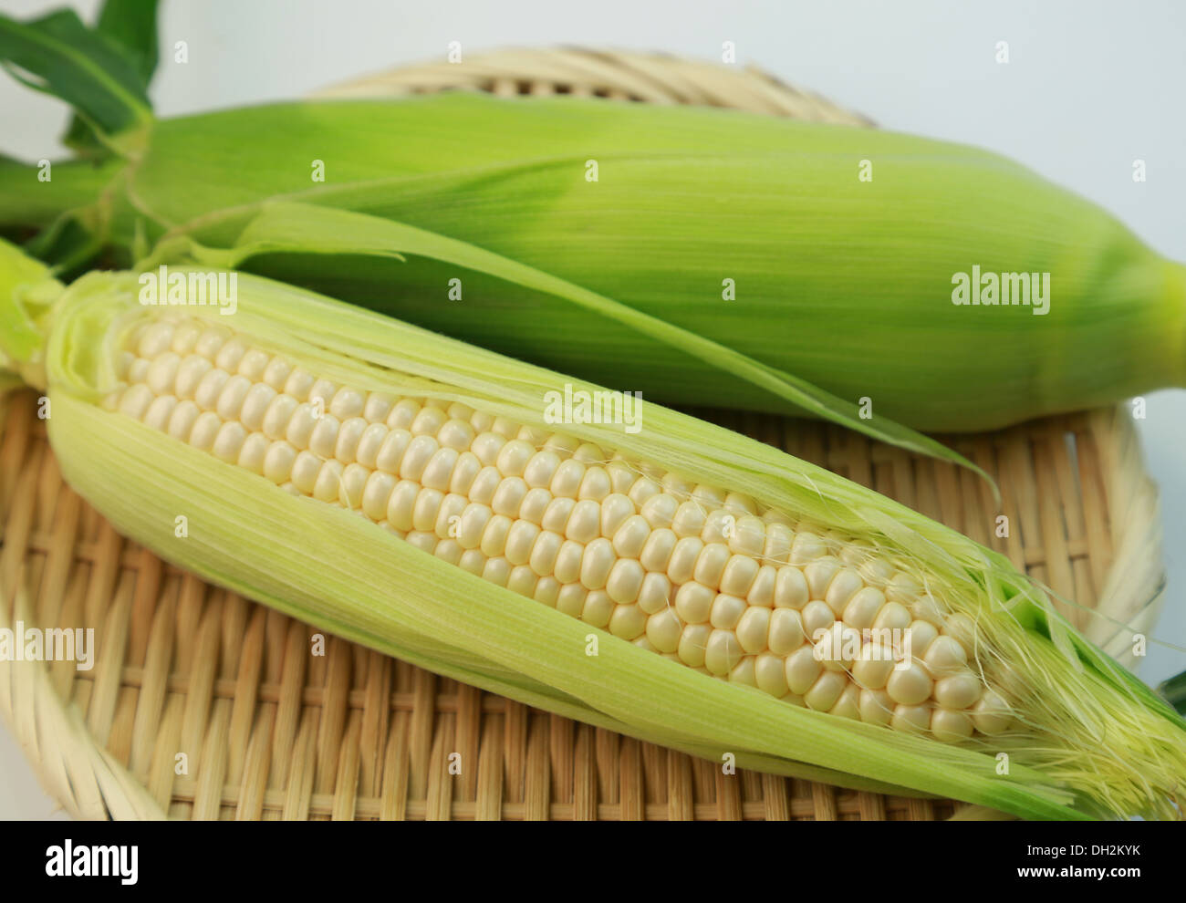 Pure white corn Stock Photo Alamy