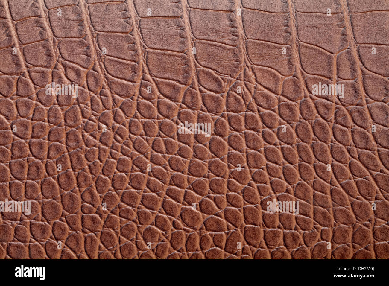 leather crocodile skin