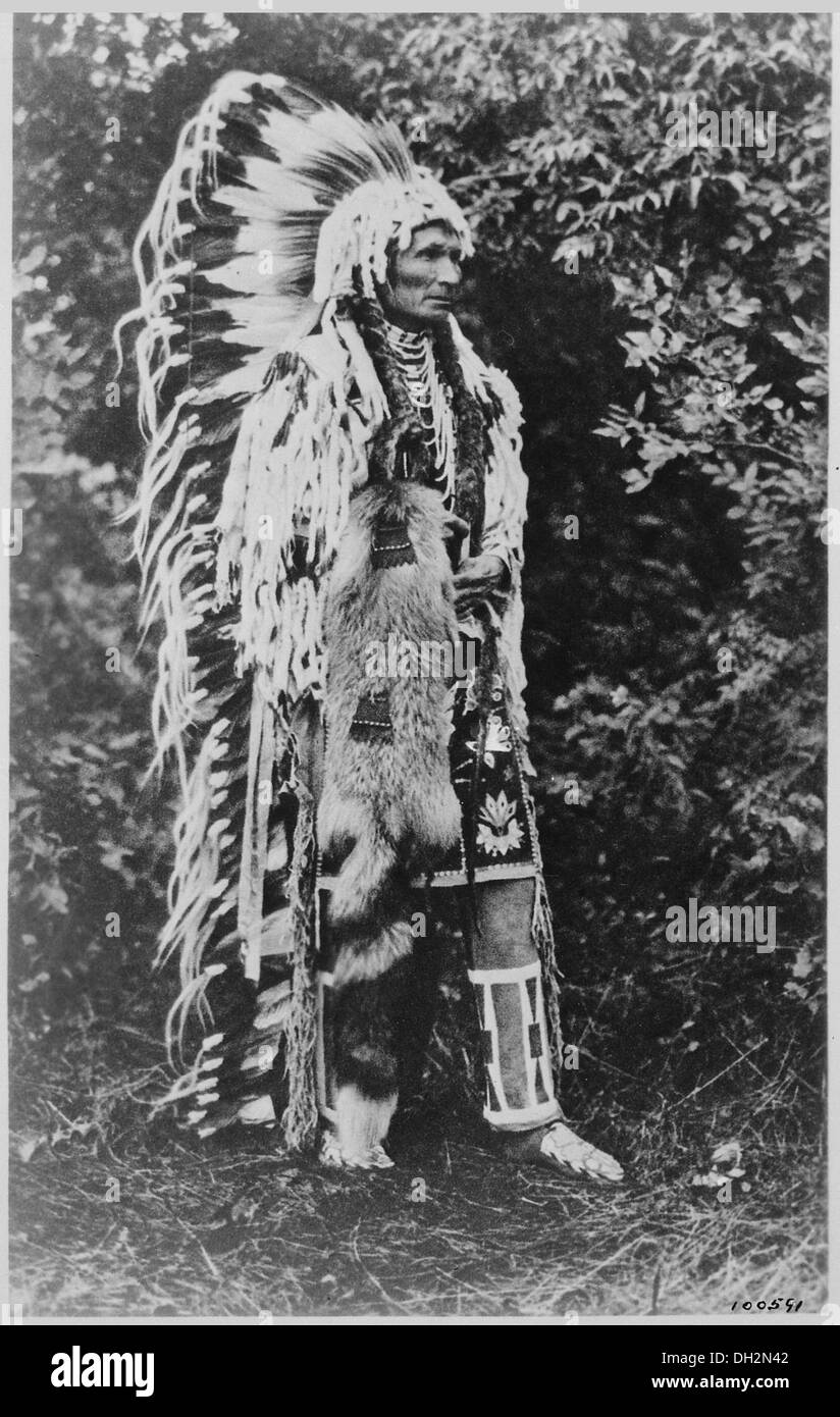 Umapine (Wakonkonwelasonmi), a Cayuse chief, full-length, standing, wearing a feathered head-dress, 09-1909 531112 Stock Photo