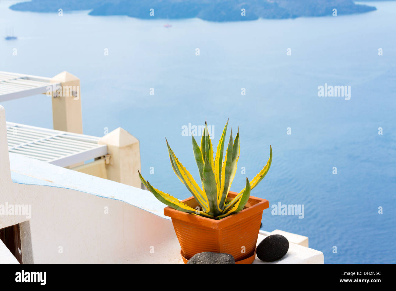 pot with plant island Santorini, Oia Greece Stock Photo