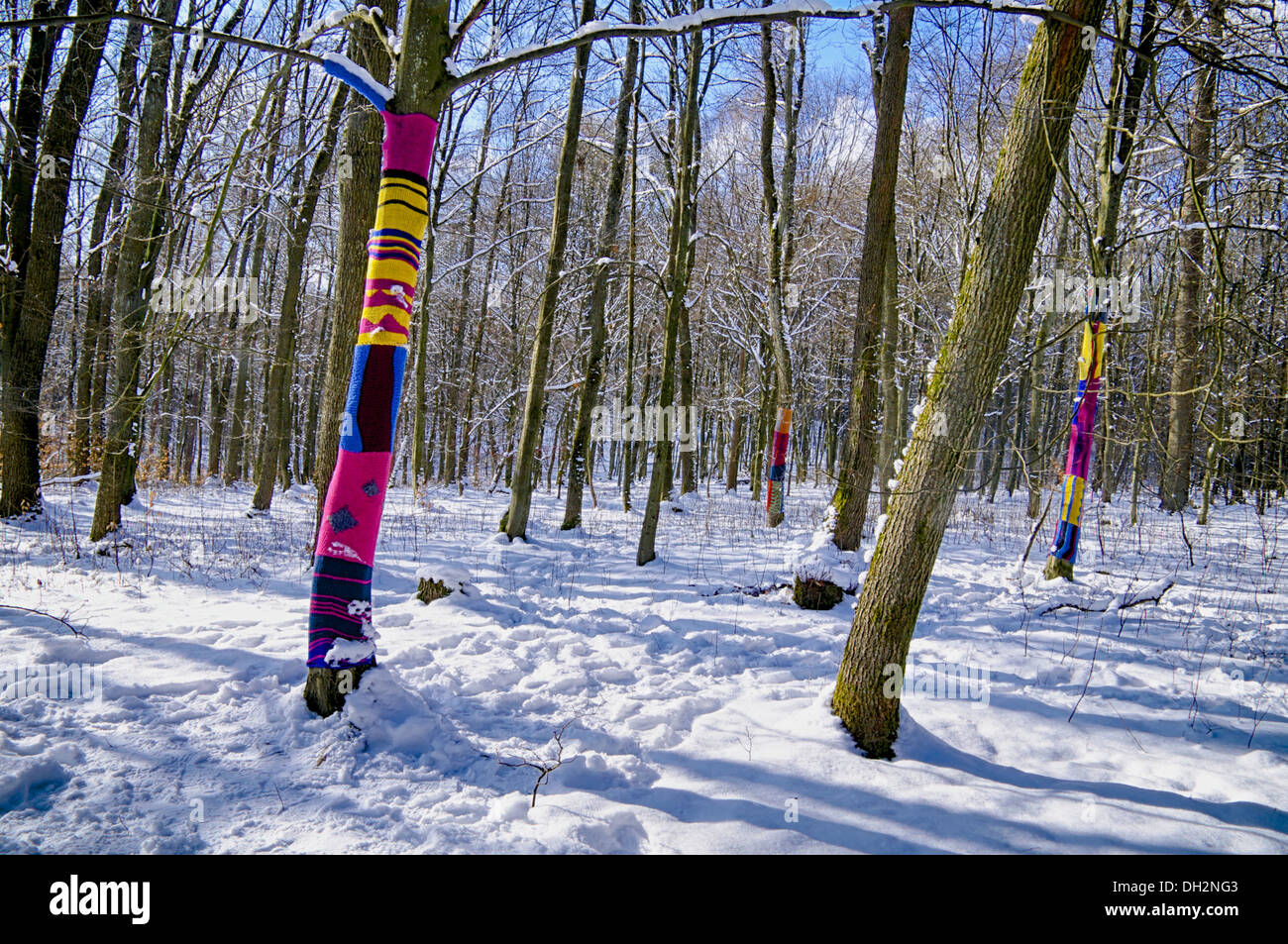 Dressed trees Stock Photo