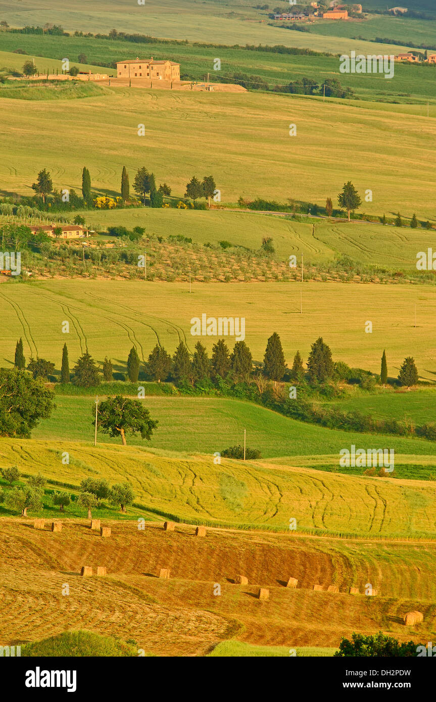 Val d'Orcia. Orcia Valley. Fields and Farmhouses. Tuscany Landscape. UNESCO world heritage site. Pienza. Siena Province. Tuscany Stock Photo