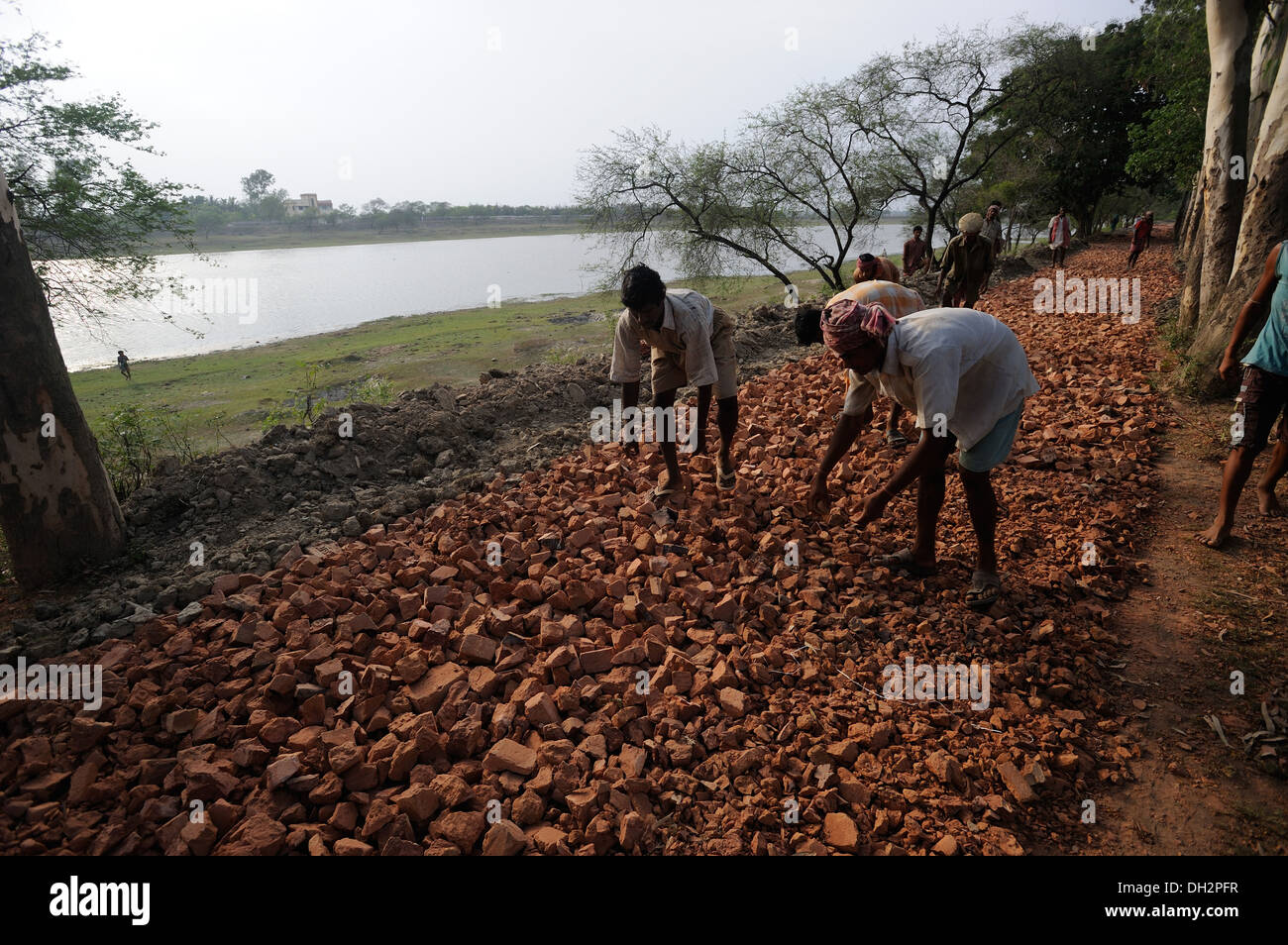 indian workers laying repairing bricks road piyali river 24 parganas kolkata calcutta west bengal India Asia Stock Photo