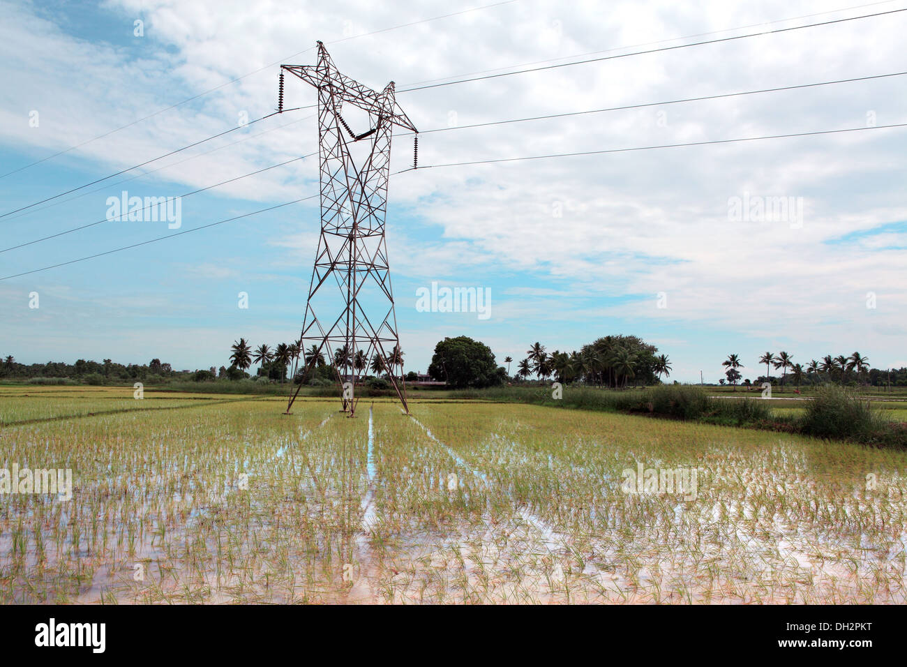 High voltage transmission line Uttar Pradesh India Asia Stock Photo Alamy