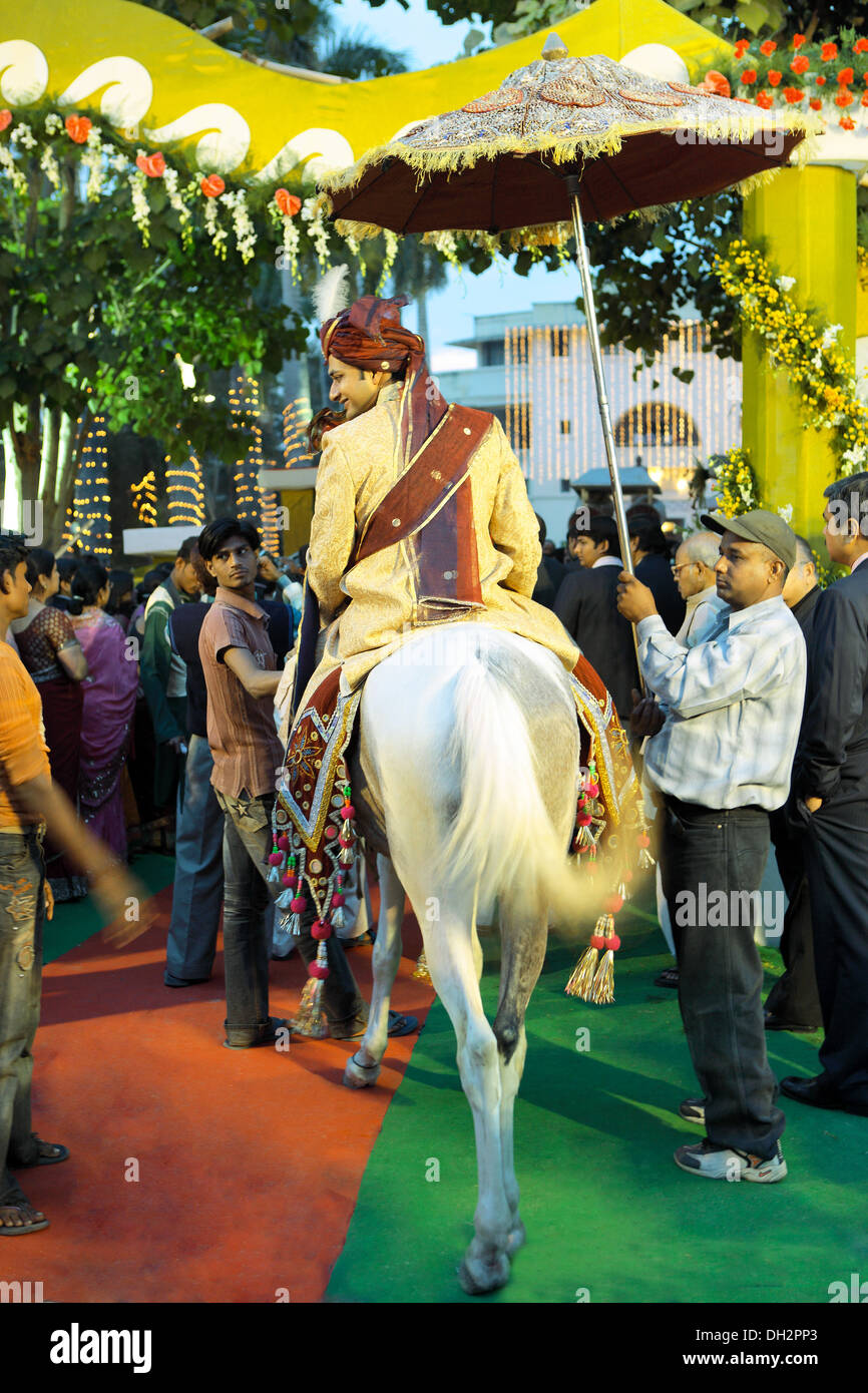 Indian Wedding bridegroom sitting on white horse India Asia Stock Photo