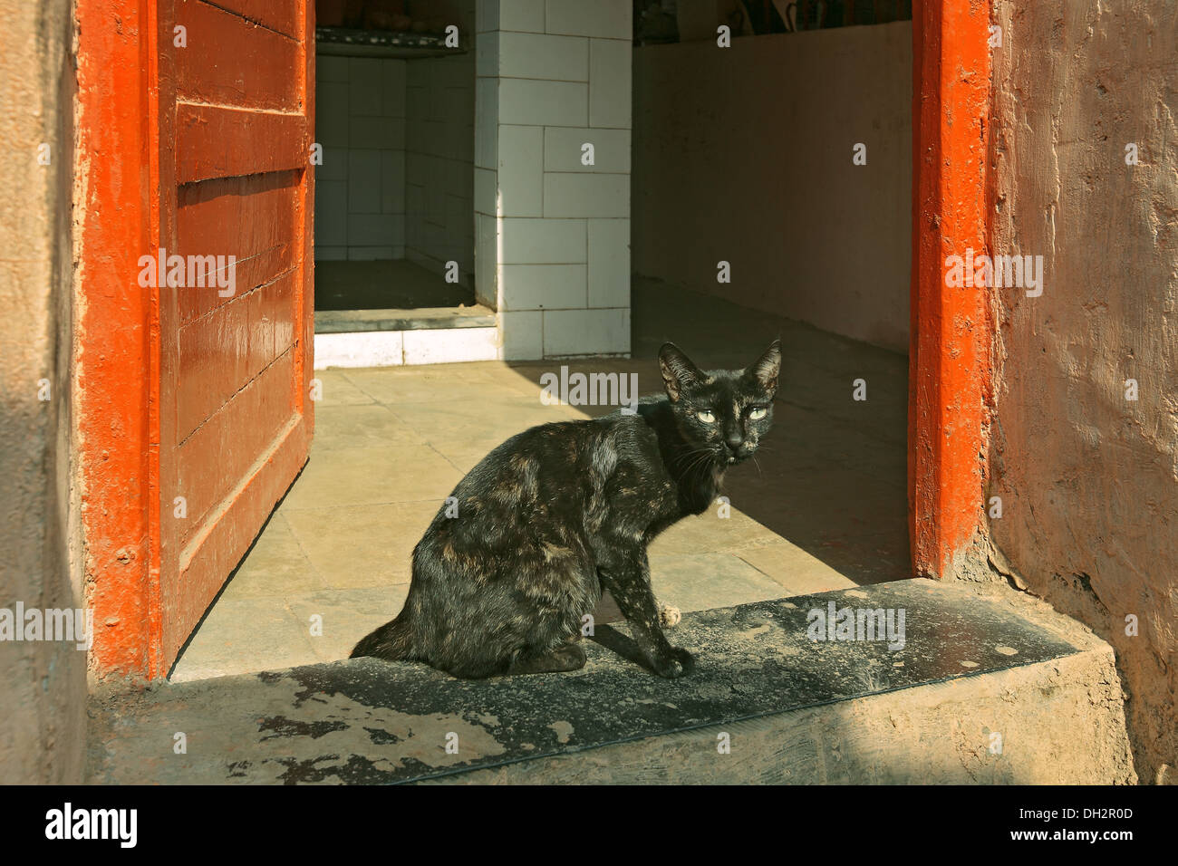 Black Cat with green eyes on door step Stock Photo