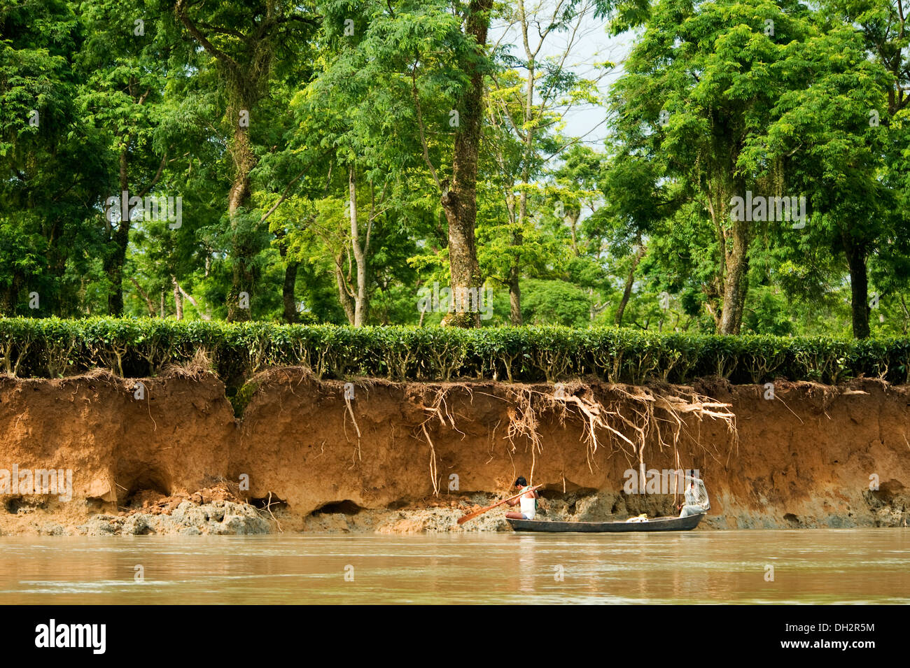 Dibru Saikhowa national park river Tinsukia Assam India Asia Stock Photo Alamy