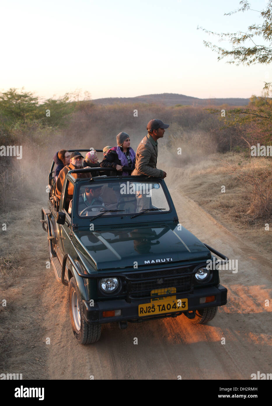 Tourists in an open jeep on a tiger safari  in the Ranthambhore Tiger Reserve, Sawai Madhopur District, Rajasthan, India, Stock Photo