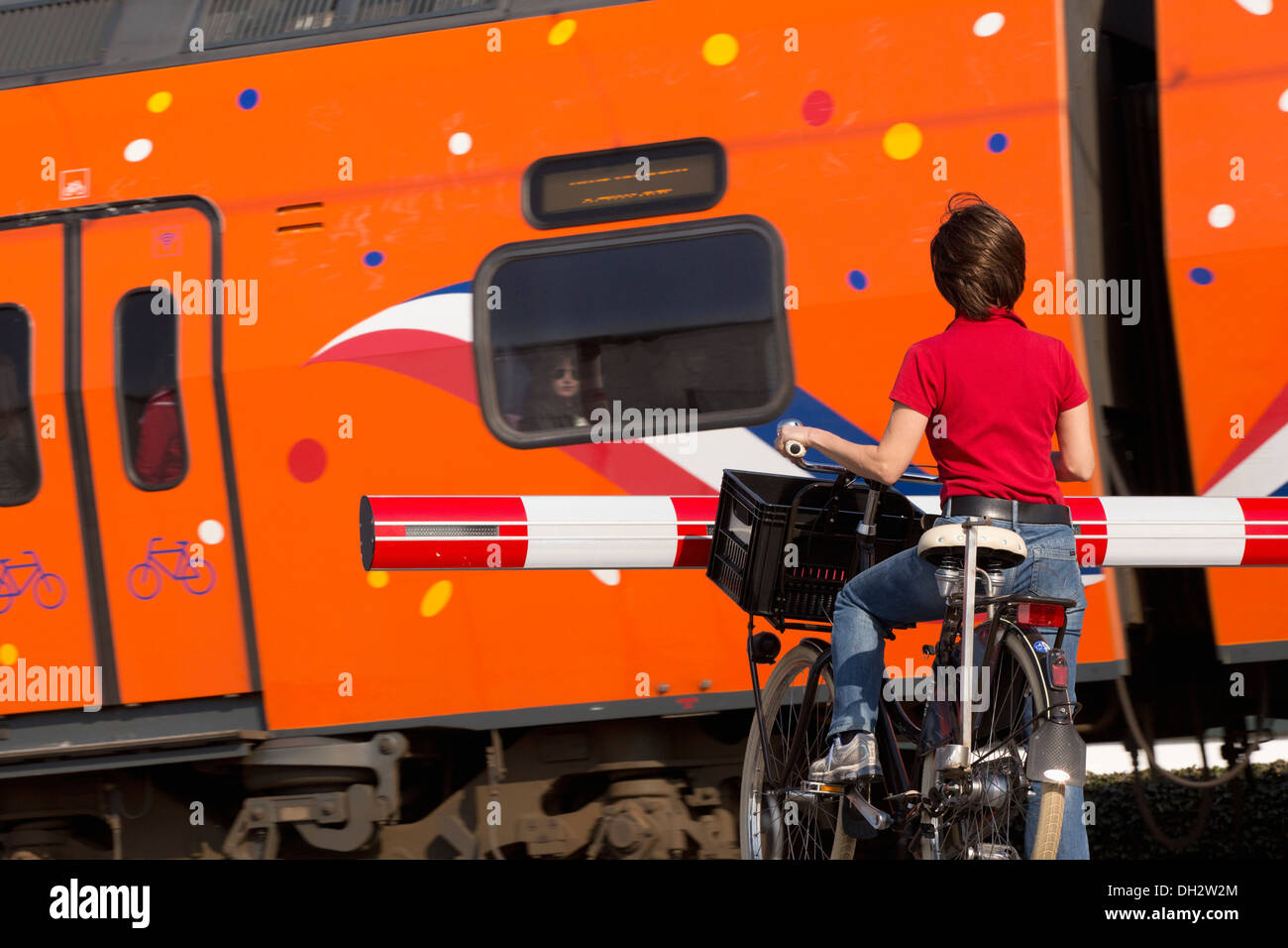 Netherlands, Vogelenzang, Train level crossing. Woman on bicycle waiting for barrier. Orange Royal Kings train passing by. Stock Photo