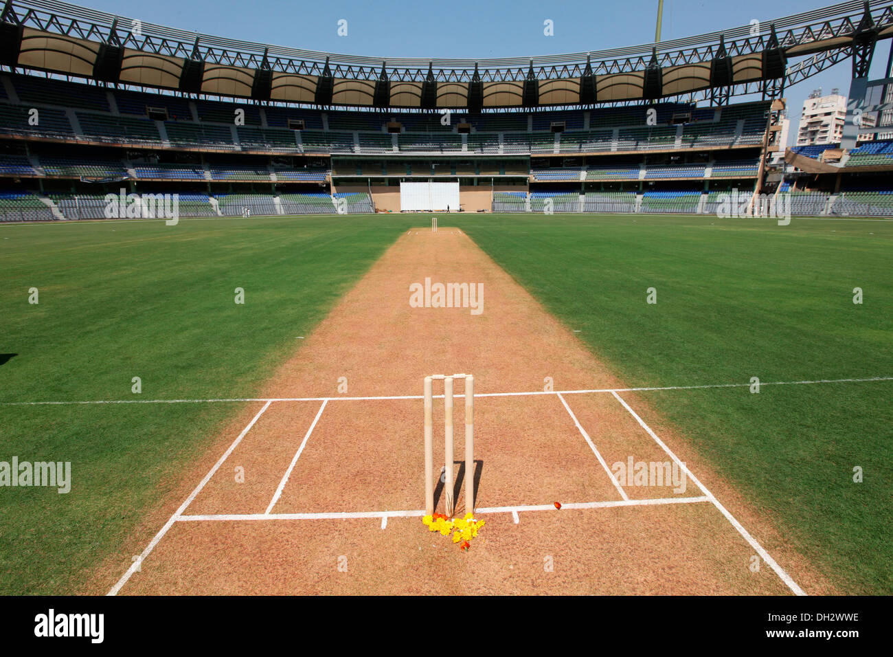 Cricket pitch with stumps Wankhede Stadium Bombay Mumbai Maharashtra India Asia Stock Photo