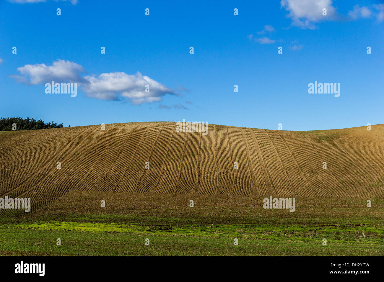 Hill agriculture field acre hi-res stock photography and images - Alamy