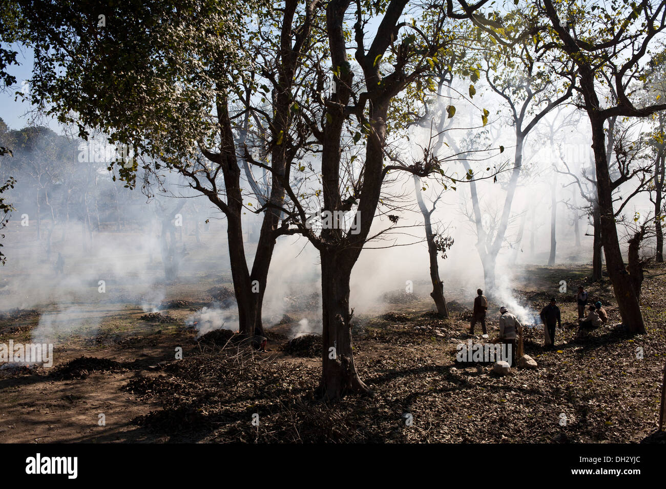 Smoke Of Burning Dry Leaves Stock Photo Alamy Smoke Of Burning Dry Leaves Stock Photo Alamy
