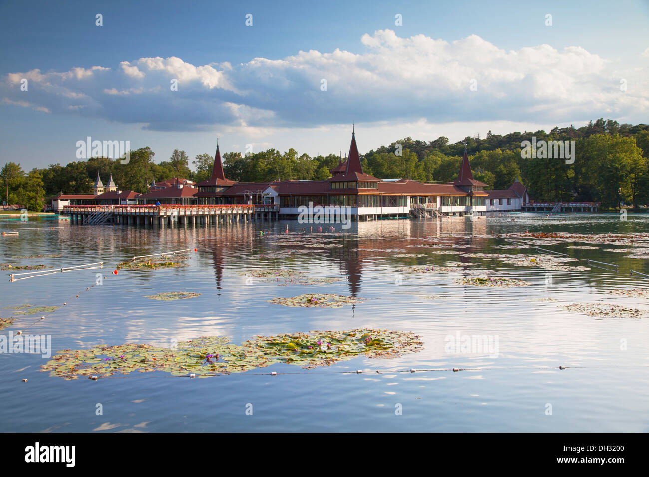 Thermal lake at Heviz, Keszthely, Lake Balaton, Hungary Stock Photo - Alamy