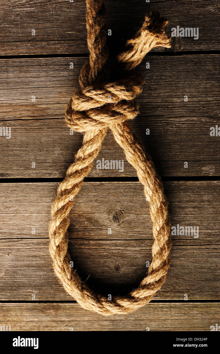 Rope noose with knot Stock Photo Alamy