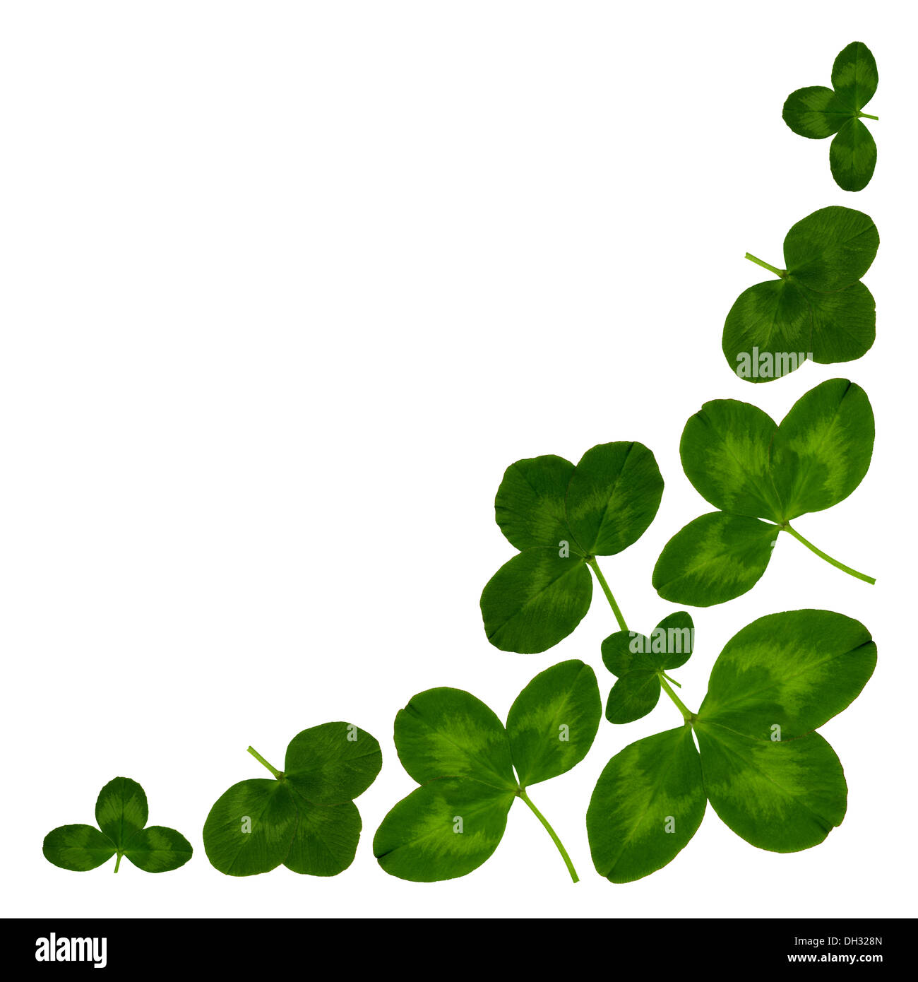 Corner with green leaves of clover Stock Photo