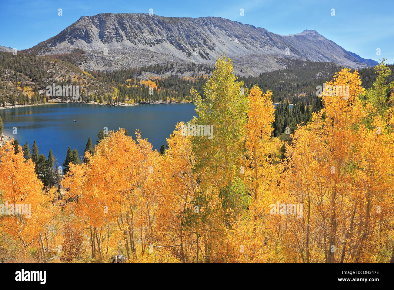 Beauty magic hi-res stock photography and images - Alamy