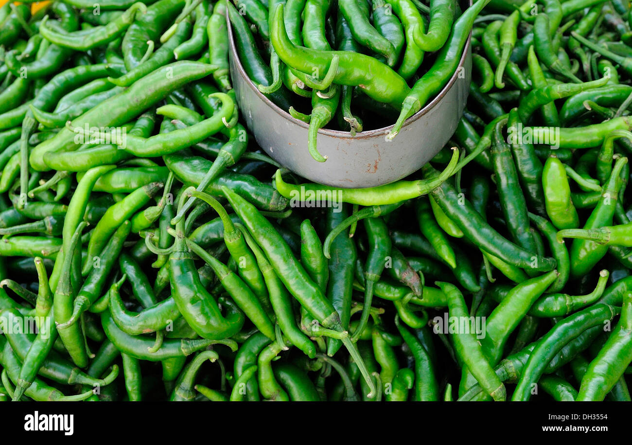 Jalapeno chilli, Capsicum annuum. Green chillies for sale in the market. Mexico, Veracruz, Papantla, Stock Photo