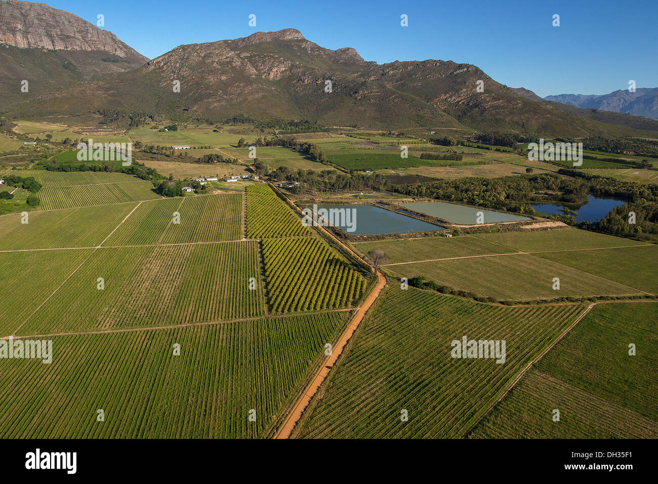 Paarl, Cape Town Wine Route Stock Photo