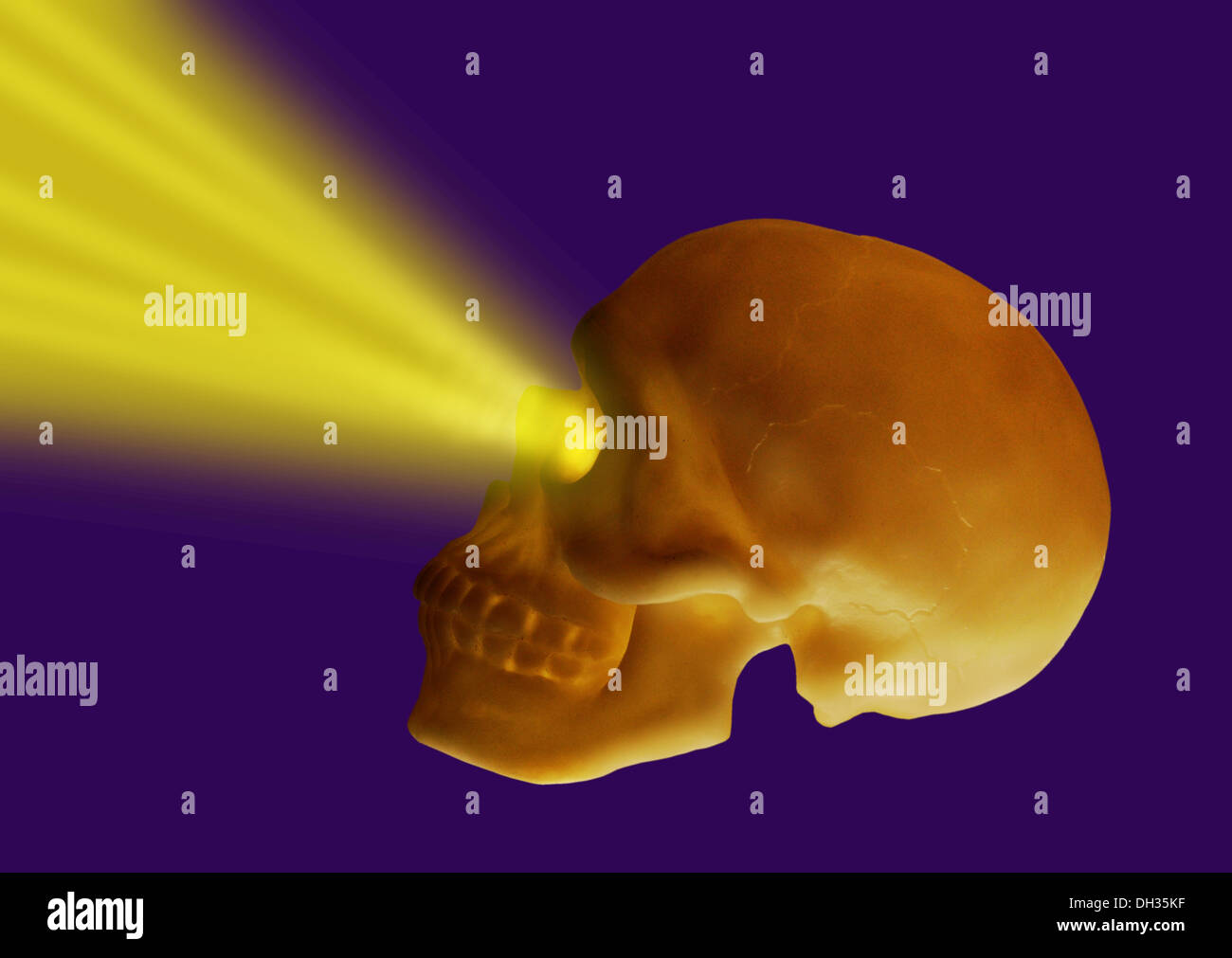 shining human skull on purple background Stock Photo