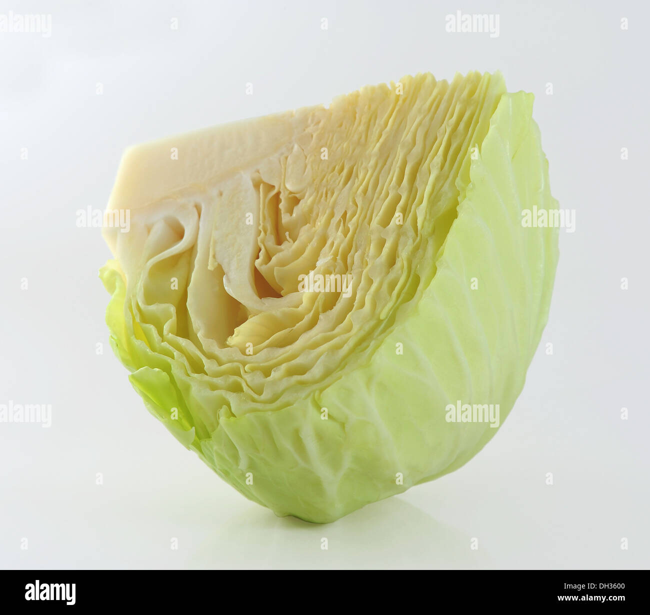 Cabbage isolated on white Stock Photo