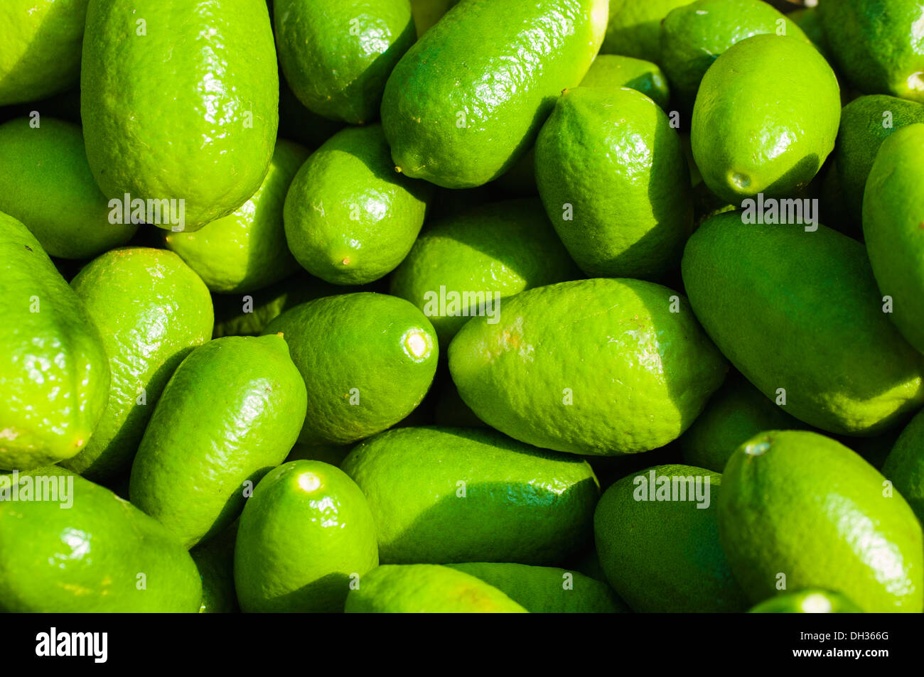 Citrus fruit colours hi-res stock photography and images - Alamy