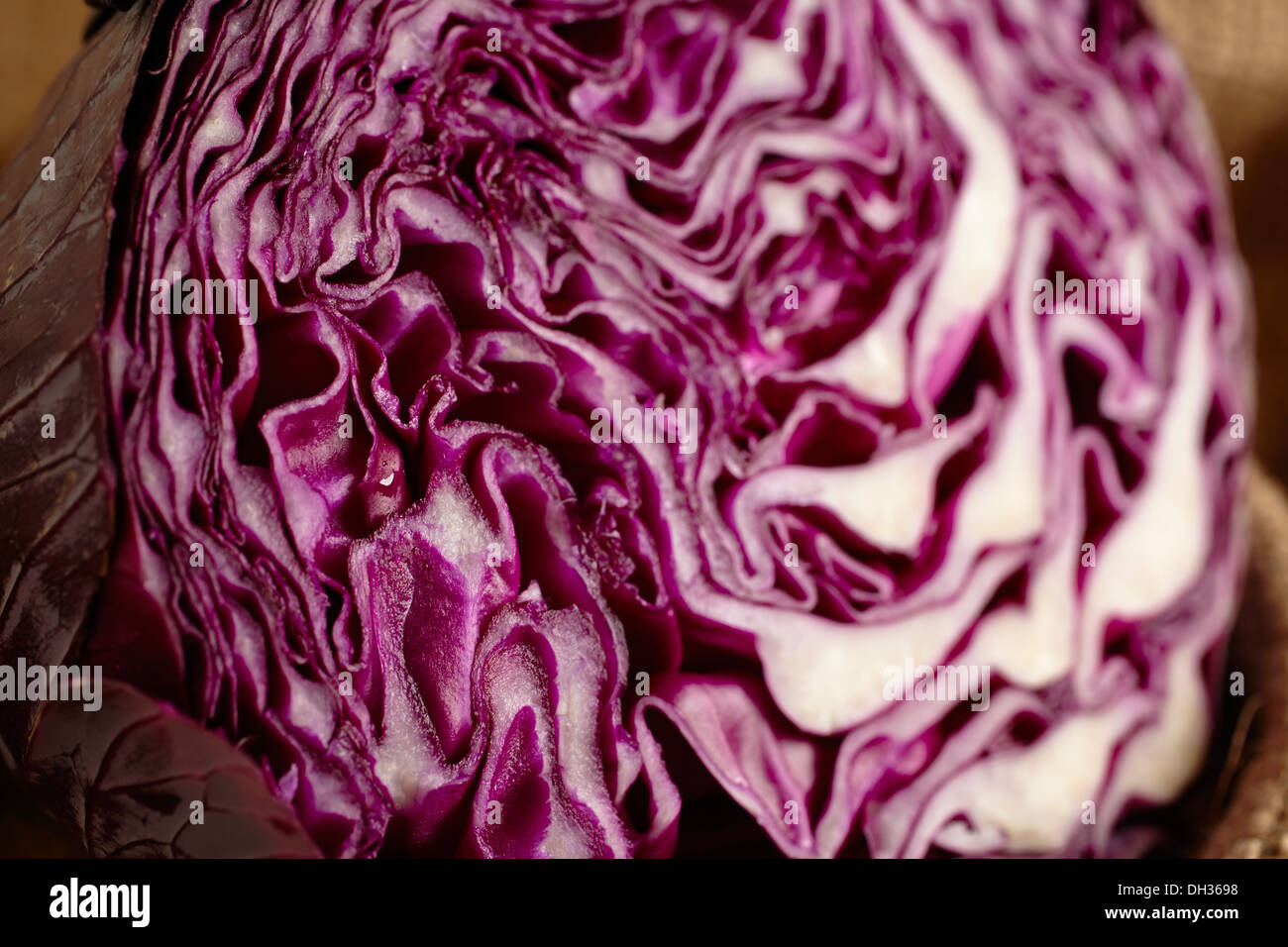 Red cabbage cut in half Stock Photo
