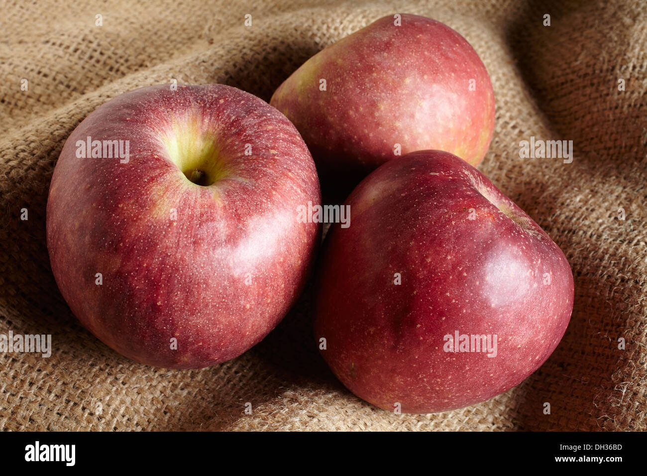 Winesap apple hires stock photography and images Alamy