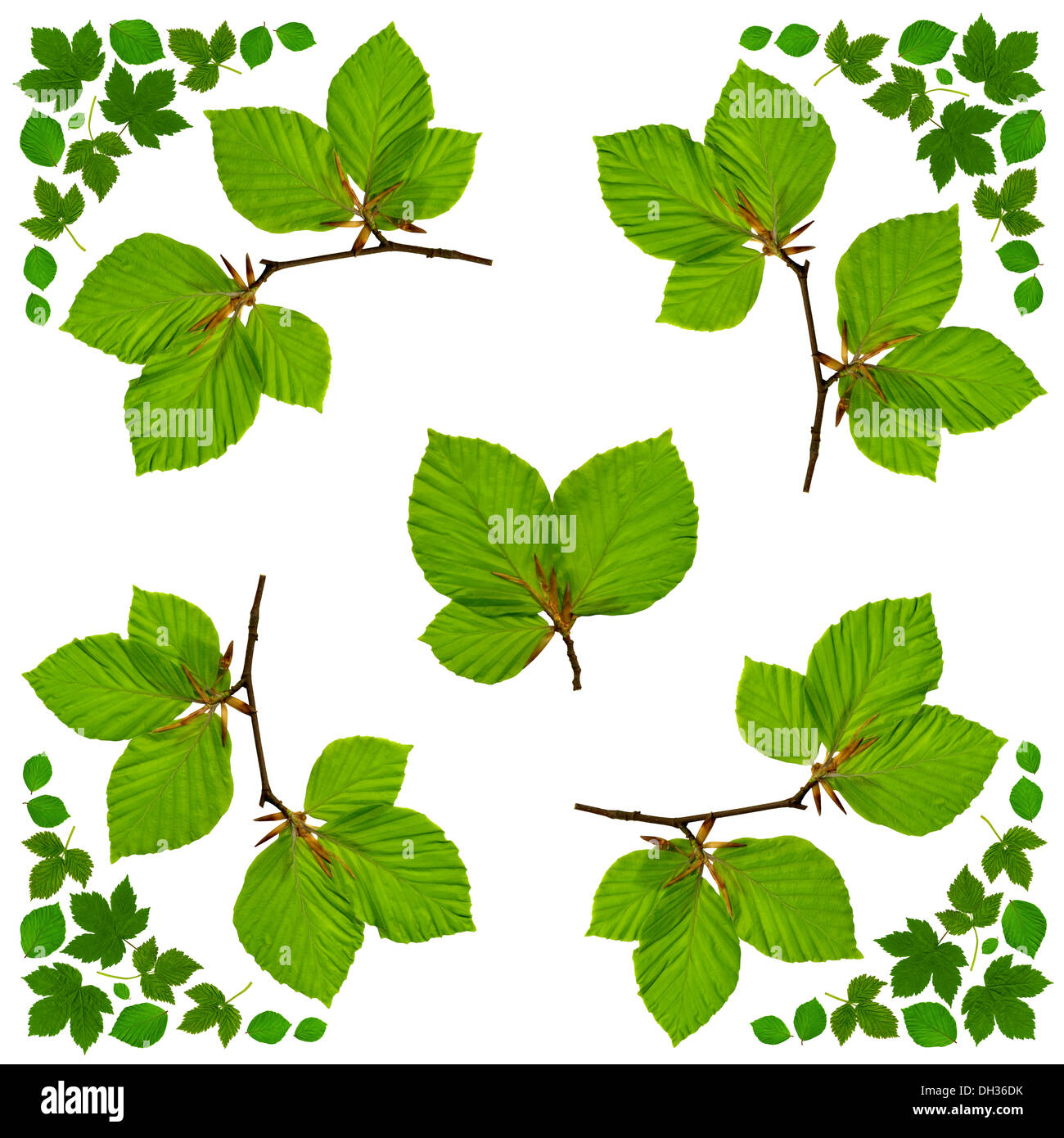 Napkin with green leaves Stock Photo
