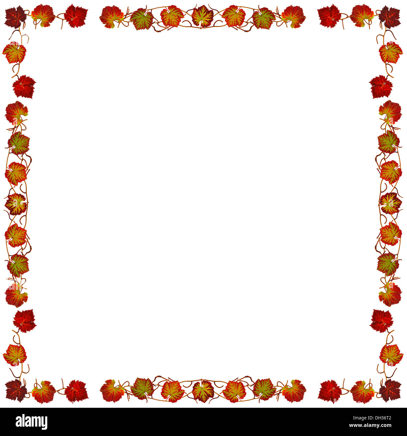 Frame with colorful leaves of vines Stock Photo
