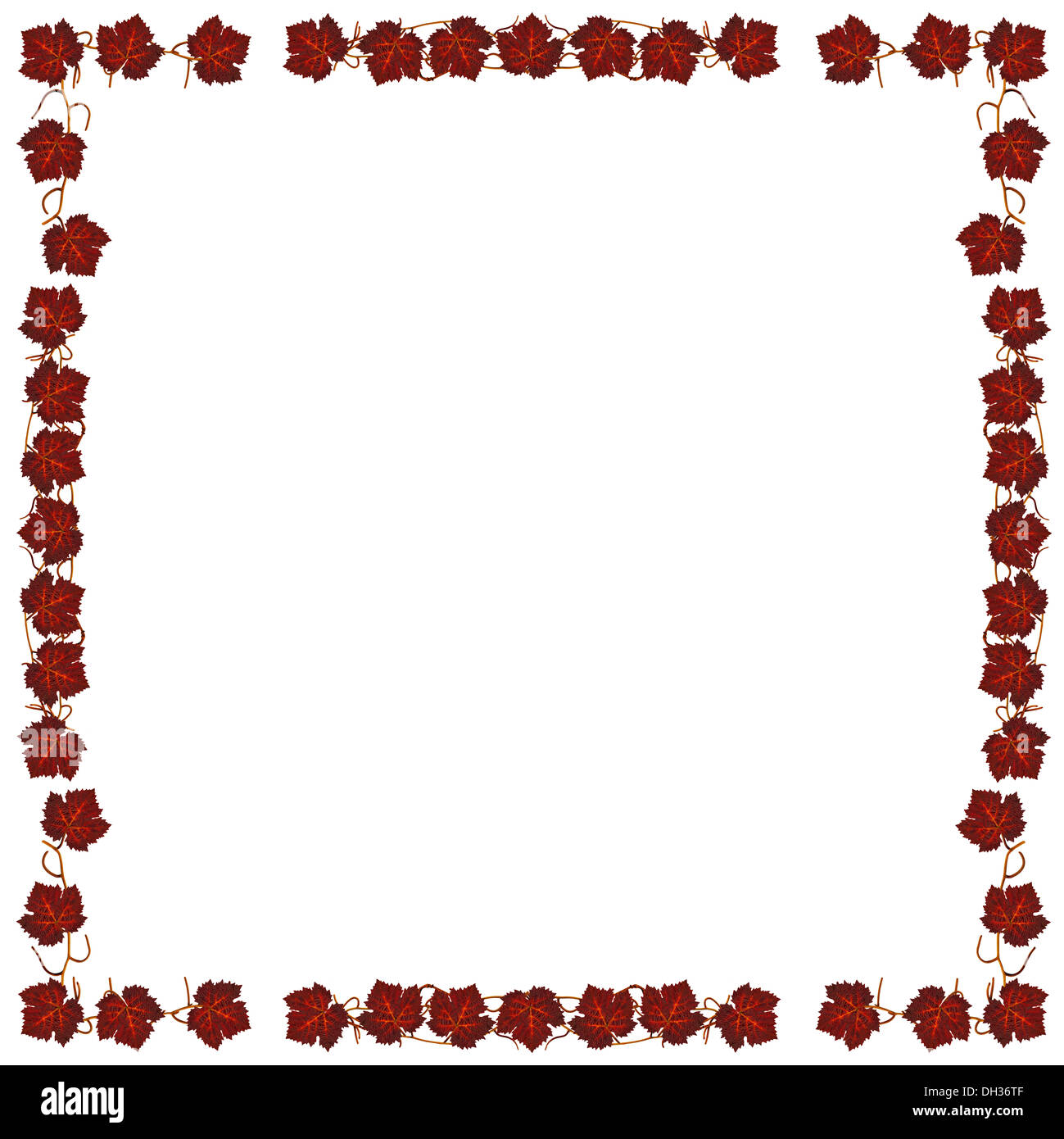 Frame with dark red leaves of vines Stock Photo