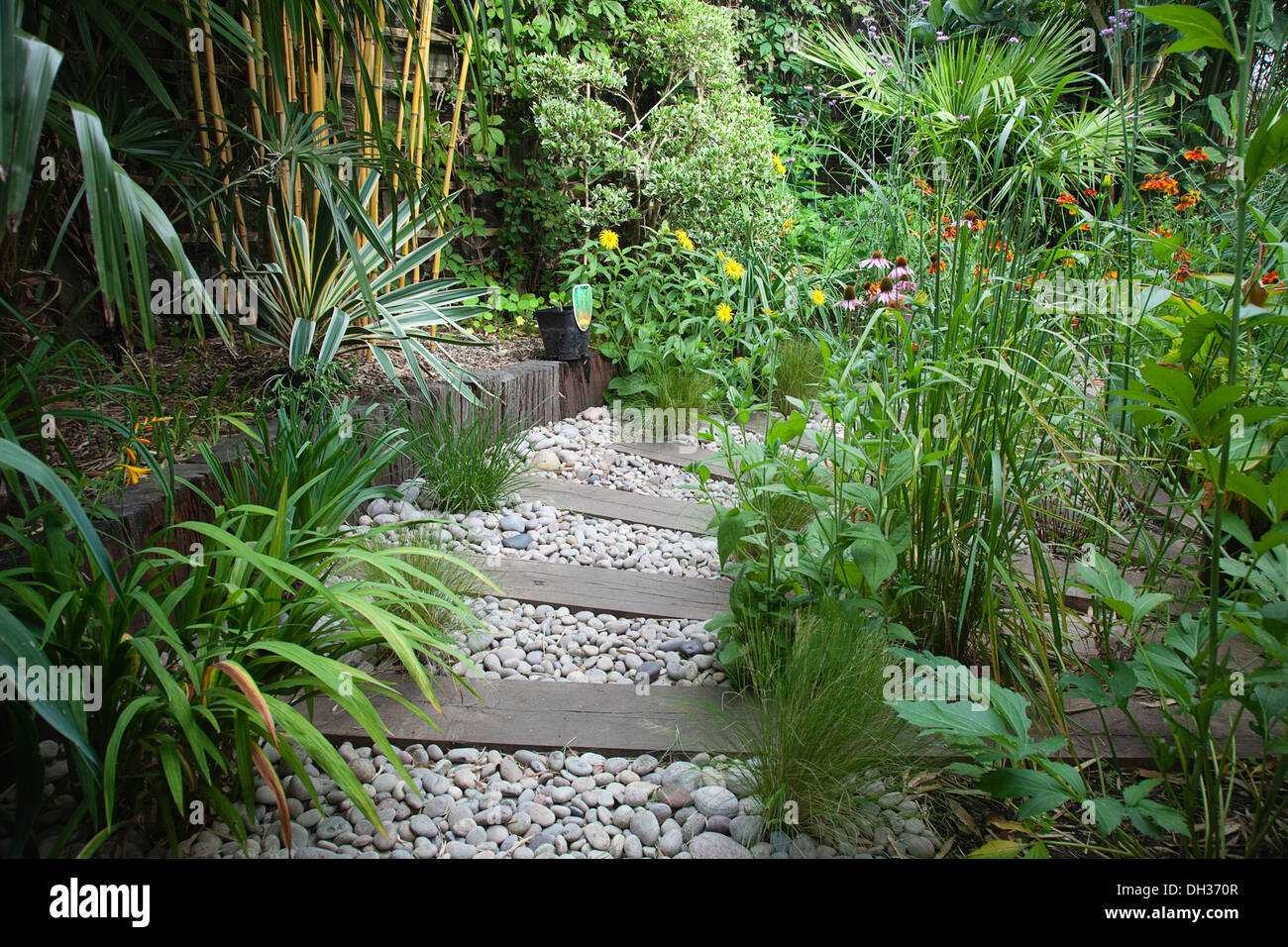 Urban garden with pebble path and railway sleepers. Planting includes Helenium Indian Summer Echinacea purpurea and Rudbeckia Stock Photo